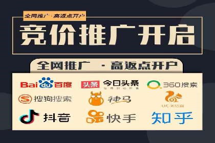 百度竞价推广在电商领域的赚钱案例